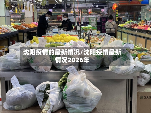 沈阳疫情的最新情况/沈阳疫情最新情况2026年