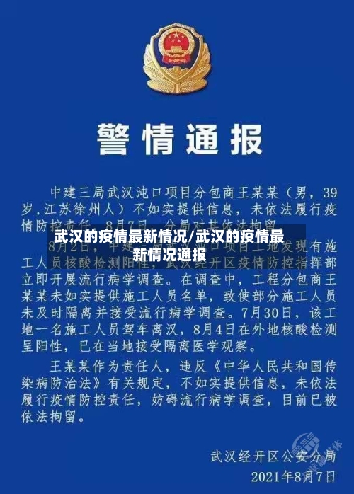 武汉的疫情最新情况/武汉的疫情最新情况通报-第3张图片