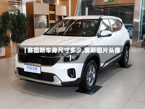 【赛图斯车身尺寸多少,赛斯图片头像】-第2张图片