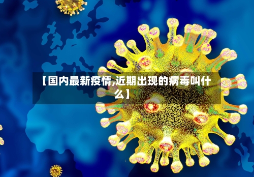 【国内最新疫情,近期出现的病毒叫什么】-第2张图片