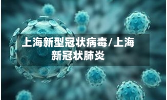 上海新型冠状病毒/上海新冠状肺炎-第2张图片