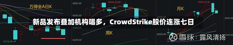 新品发布叠加机构唱多，CrowdStrike股价连涨七日-第2张图片