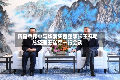 靳磊覃伟中与华润集团董事长王祥明总经理王崔军一行会谈