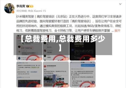 【总裁费用,总裁费用多少】-第2张图片