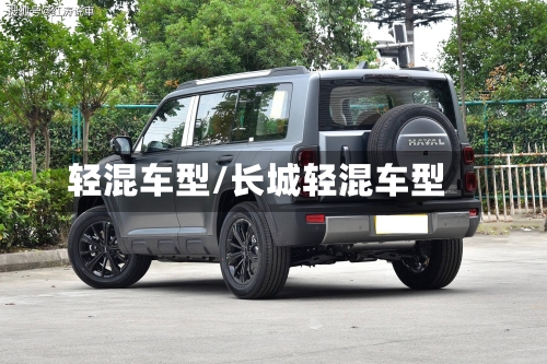 轻混车型/长城轻混车型
