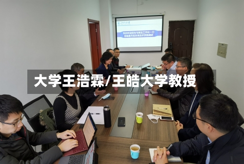 大学王浩霖/王皓大学教授