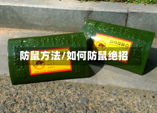 防鼠方法/如何防鼠绝招-第2张图片