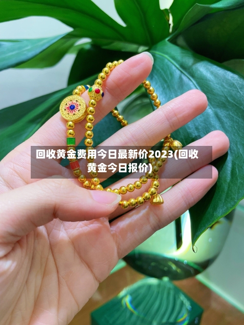 回收黄金费用今日最新价2023(回收黄金今日报价)-第2张图片