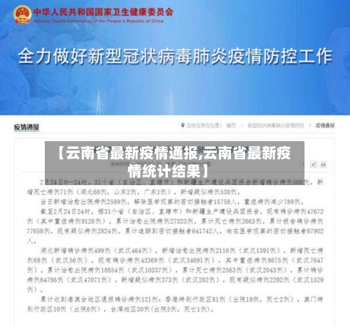 【云南省最新疫情通报,云南省最新疫情统计结果】-第2张图片