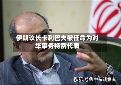伊朗议长卡利巴夫被任命为对华事务特别代表-第2张图片