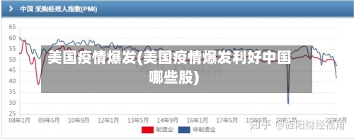 美国疫情爆发(美国疫情爆发利好中国哪些股)-第3张图片