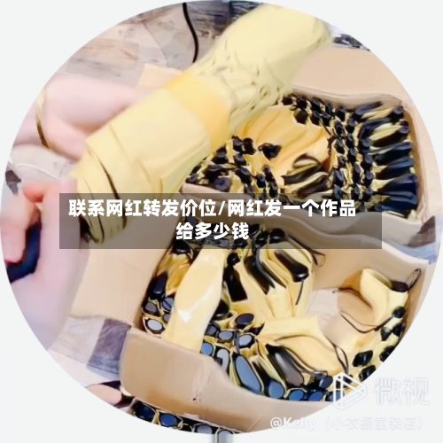 联系网红转发价位/网红发一个作品给多少钱-第2张图片