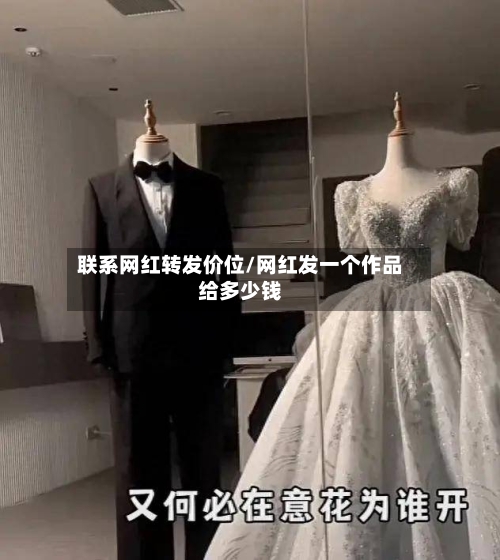 联系网红转发价位/网红发一个作品给多少钱