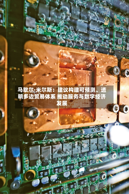 马歇尔·米尔斯：建议构建可预测	、透明多边贸易体系 推动服务与数字经济发展-第2张图片