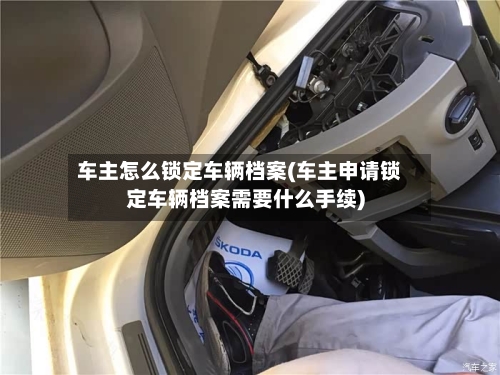 车主怎么锁定车辆档案(车主申请锁定车辆档案需要什么手续)