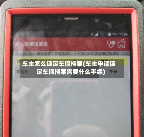 车主怎么锁定车辆档案(车主申请锁定车辆档案需要什么手续)-第3张图片