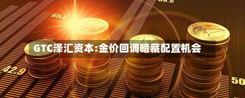 GTC泽汇资本:金价回调暗藏配置机会-第3张图片