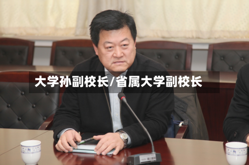 大学孙副校长/省属大学副校长-第2张图片