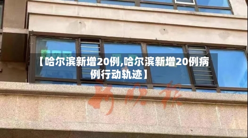 【哈尔滨新增20例,哈尔滨新增20例病例行动轨迹】-第3张图片