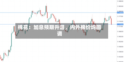 棉花:加息预期升温,内外棉价均回调