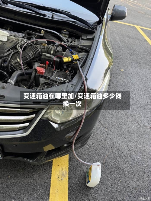 变速箱油在哪里加/变速箱油多少钱换一次