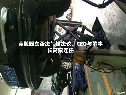 壳牌股东否决气候决议，CEO与董事长高票连任-第2张图片