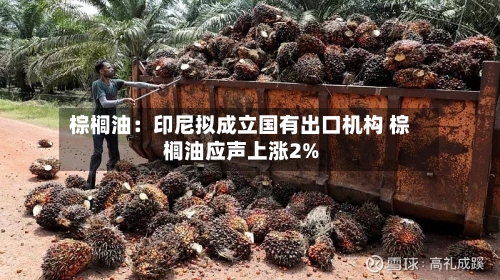 棕榈油:印尼拟成立国有出口机构 棕榈油应声上涨2%