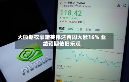 大额期权豪赌英伟达两周大涨16% 业绩预期依旧乐观