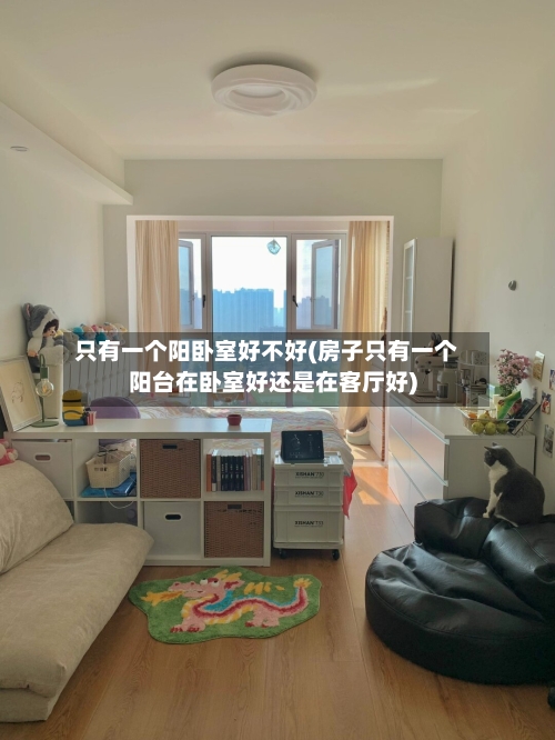 只有一个阳卧室好不好(房子只有一个阳台在卧室好还是在客厅好)-第2张图片