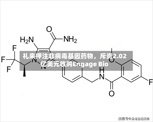 礼来押注非病毒基因药物,斥资2.02亿美元收购Engage Bio