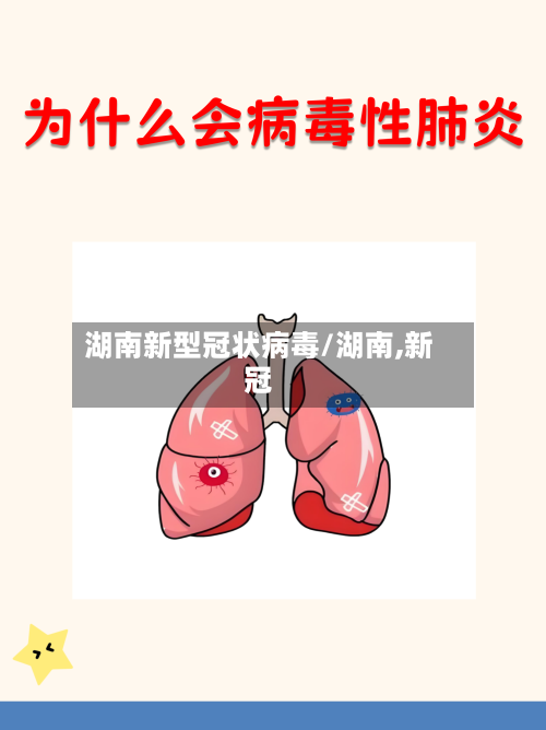 湖南新型冠状病毒/湖南,新冠