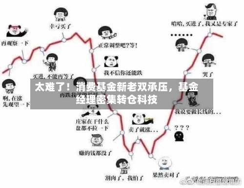 太难了!消费基金新老双承压,基金经理密集转仓科技
