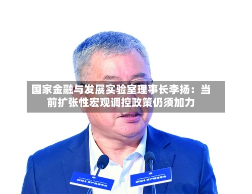 国家金融与发展实验室理事长李扬：当前扩张性宏观调控政策仍须加力-第3张图片