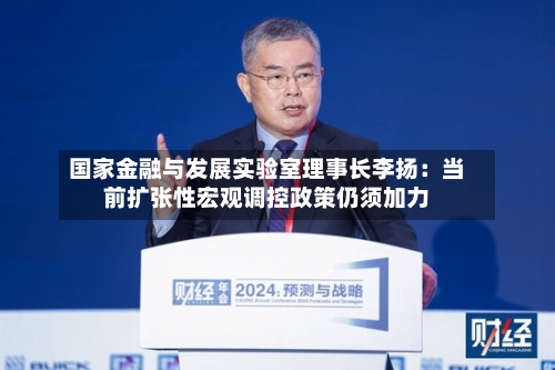 国家金融与发展实验室理事长李扬：当前扩张性宏观调控政策仍须加力