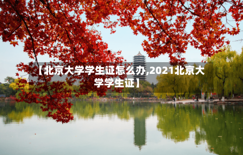 【北京大学学生证怎么办,2021北京大学学生证】-第2张图片