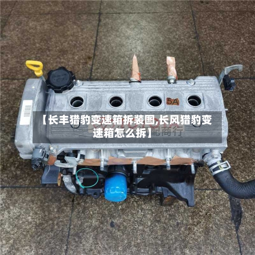 【长丰猎豹变速箱拆装图,长风猎豹变速箱怎么拆】