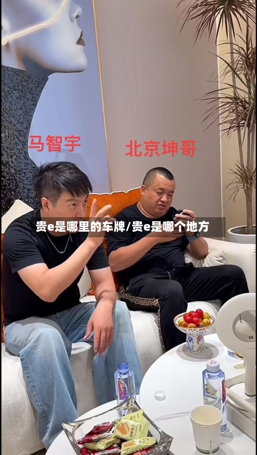 贵e是哪里的车牌/贵e是哪个地方-第2张图片