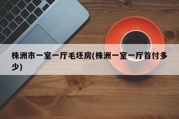 株洲市一室一厅毛坯房(株洲一室一厅首付多少)