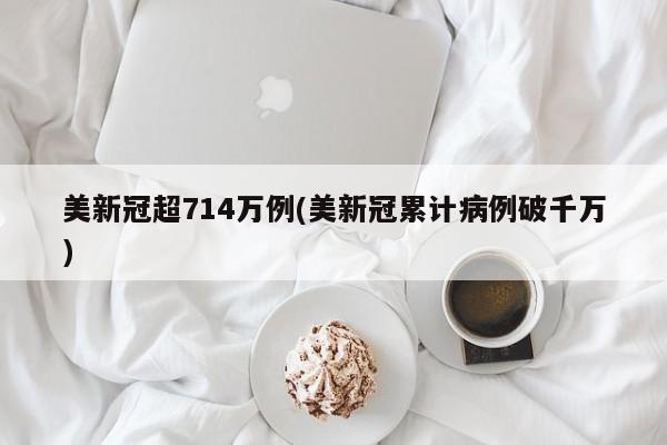 美新冠超714万例(美新冠累计病例破千万)