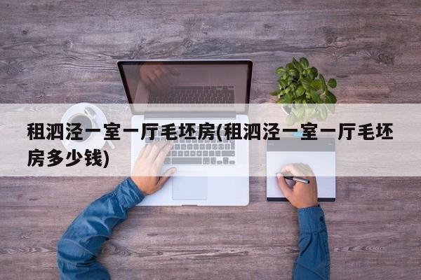 租泗泾一室一厅毛坯房(租泗泾一室一厅毛坯房多少钱)
