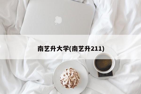 南艺升大学(南艺升211)