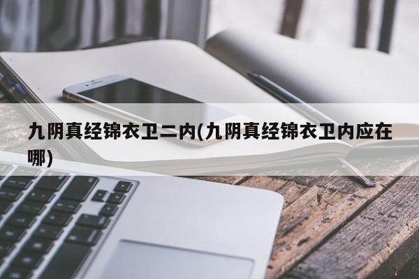 九阴真经锦衣卫二内(九阴真经锦衣卫内应在哪)
