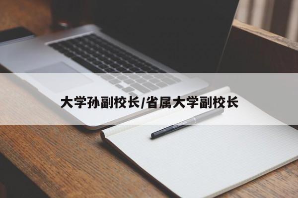大学孙副校长/省属大学副校长