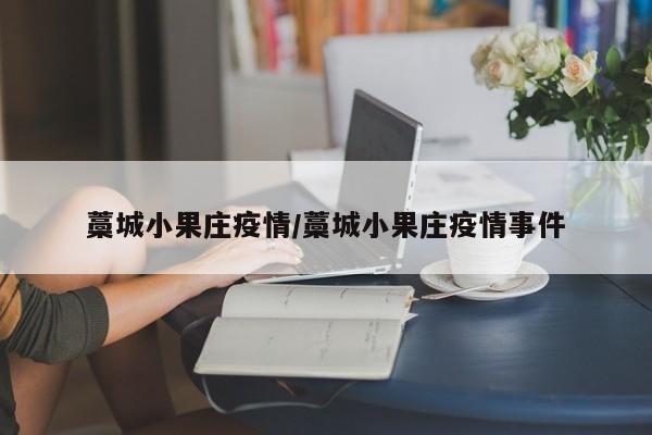 藁城小果庄疫情/藁城小果庄疫情事件